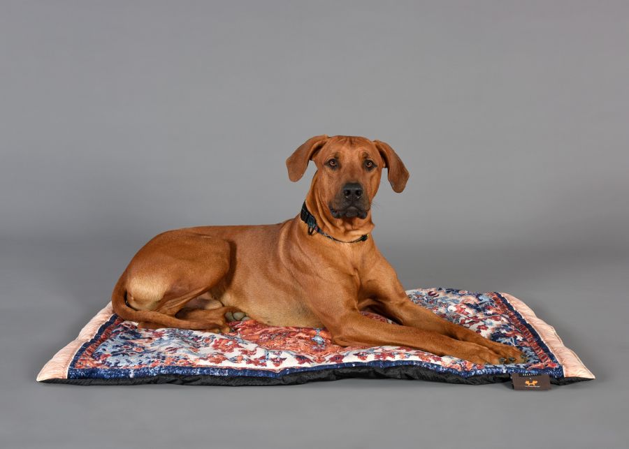 Seletti Kennel carpet PETS (R)EVOLUTION Big Nuovo