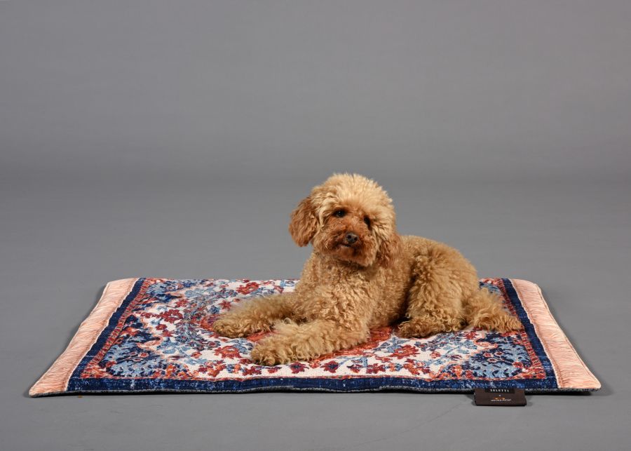Seletti Kennel carpet PETS (R)EVOLUTION Medium Vendita